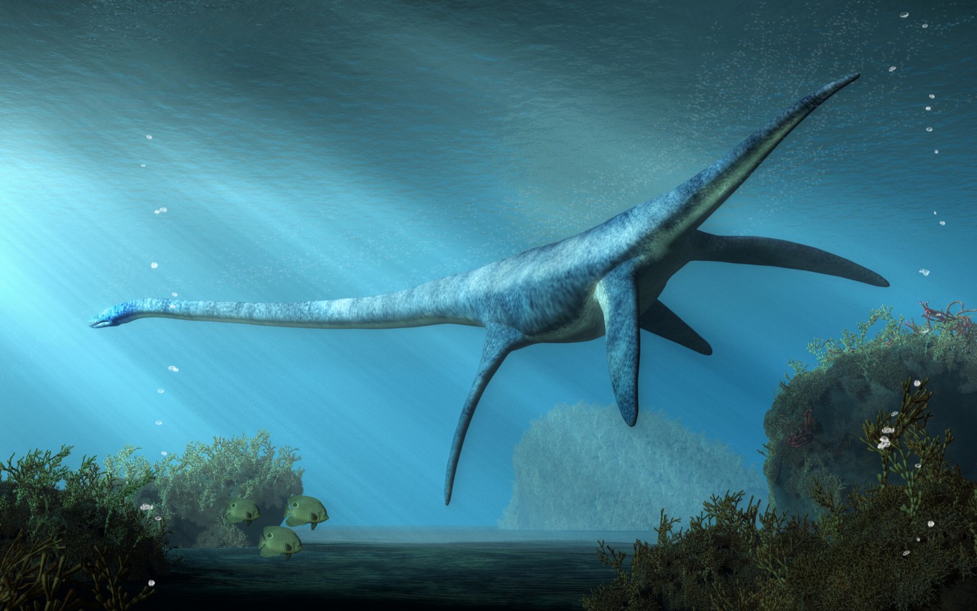 Hallado un esqueleto de dinosaurio marino extinto en Australia - EL LIBERAL